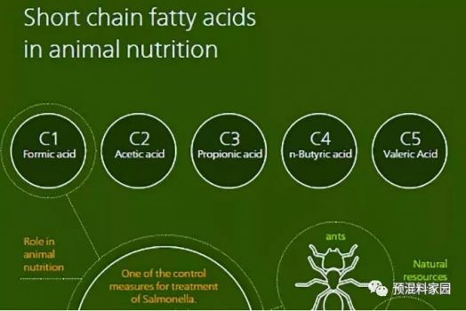 飼料酸化劑的相關(guān)知識(shí)