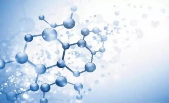 脂肪和蛋白質代謝對肉品風味的影響