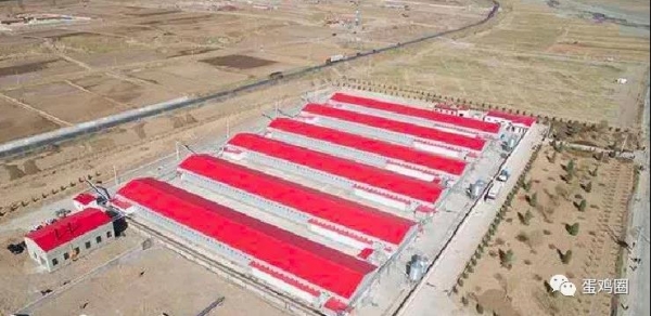 咋通過改進料塔提高飼料品質(zhì)？