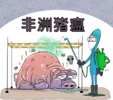 《非洲豬瘟防控科研計劃（2018-2022年）》發布