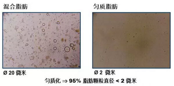 油脂在豬料中的應用