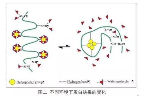 酸溶蛋白能否用來判定發酵豆粕中的小肽含量？【三】