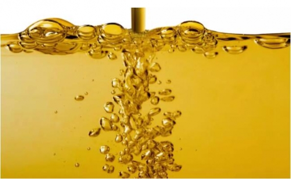 油脂調(diào)查：能值差異800大卡，你關(guān)注嗎？