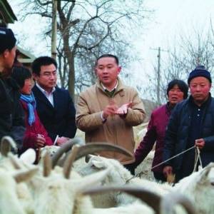 陽春乳業(yè)與“羊社員”成就雙贏