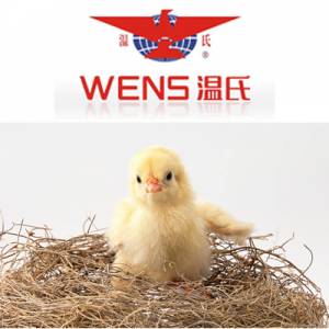 溫氏集團封閉式委托養雞模式研究