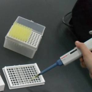 飼料防霉和脫霉的實用方法