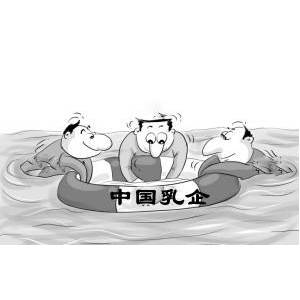 中國乳企之困：利潤薄 出事多