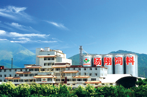 廣西揚翔回應業界質疑 公開喜揚揚“80天80斤”方案