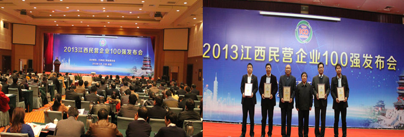 雙胞胎集團榮列2013贛民營百強前三甲