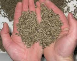 飼料原料質(zhì)量的實(shí)時評價