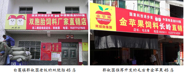 湖北浠水縣白蓮鎮花開“并蒂蓮”