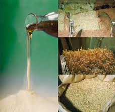 原料抗營養因子與適口性主影響因子