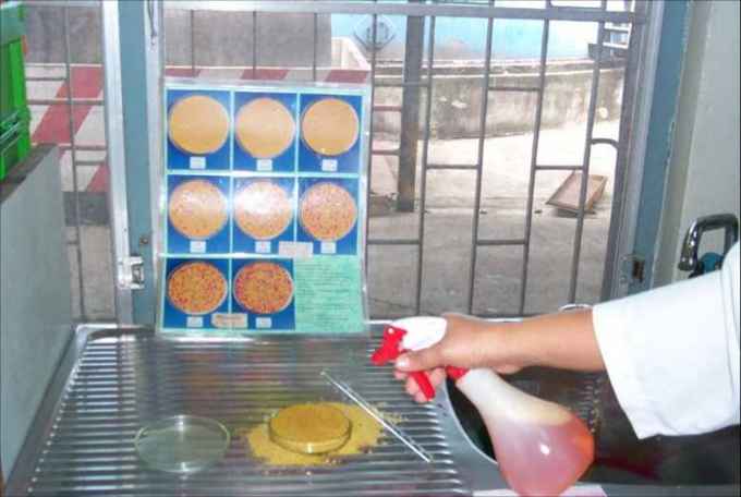 飼料品管/品保人員應具有的基本素質