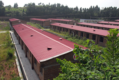 微利時代豬場管理需重視的細節