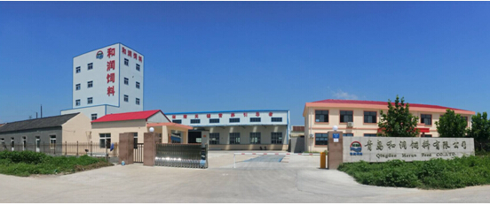 新時代下如何做好飼料企業？