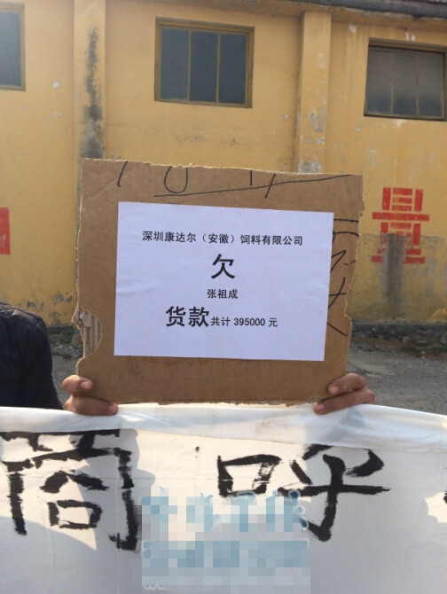 康達(dá)爾飼料子公司申請(qǐng)破產(chǎn) 20余供貨商血本無(wú)歸