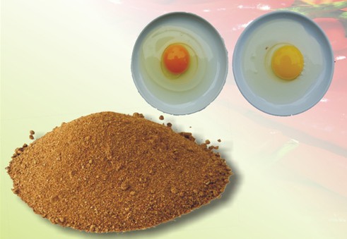 辣椒粕作為飼料的營養(yǎng)價值