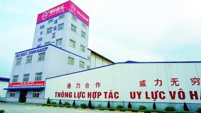 海外探訪：新希望、通威等飼料企業(yè)抱團突圍闖越南