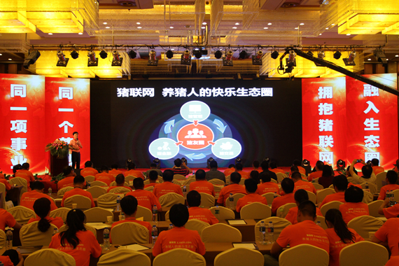豬交所+豬金融 開啟養豬盈利新時代