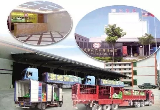 大臺農(nóng)的“無標準”營銷這么牛？輻射全國創(chuàng)30億銷售額