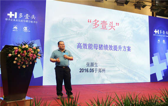 【多壹頭】特別報道：專注于母豬高效能，雄峰重新定義母豬料