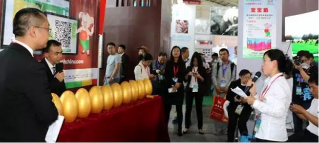 大新聞，征泰飼料沈陽生了個金蛋