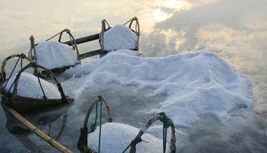 農業部：關于加強飼料添加劑氯化鈉監管的通知