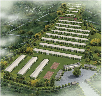 豬場負責人必須掌握的養豬知識