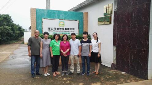 中國畜牧業協會領導赴海南走訪“偉嘉杯”獲獎雞場