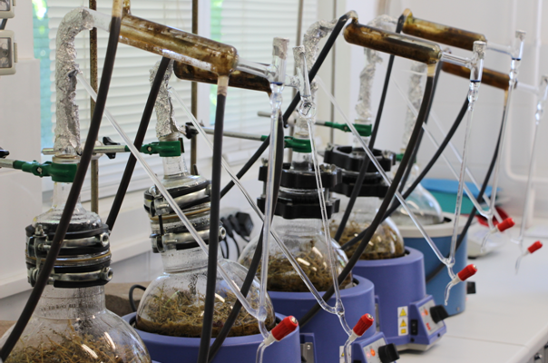 天然飼料成趨勢 美瑞高堅守始終