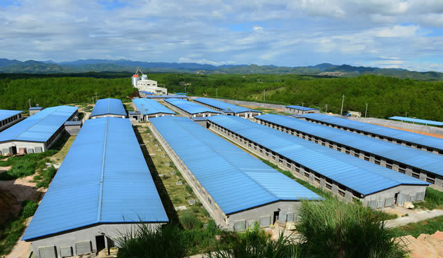 天成集團投資50億元 建呂四港糧油產業園