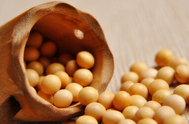 大豆之殤：加入世貿15年，再次走到“十字路口”