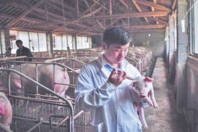 農(nóng)業(yè)部辦公廳印發(fā)《2017年獸醫(yī)工作要點(diǎn)》