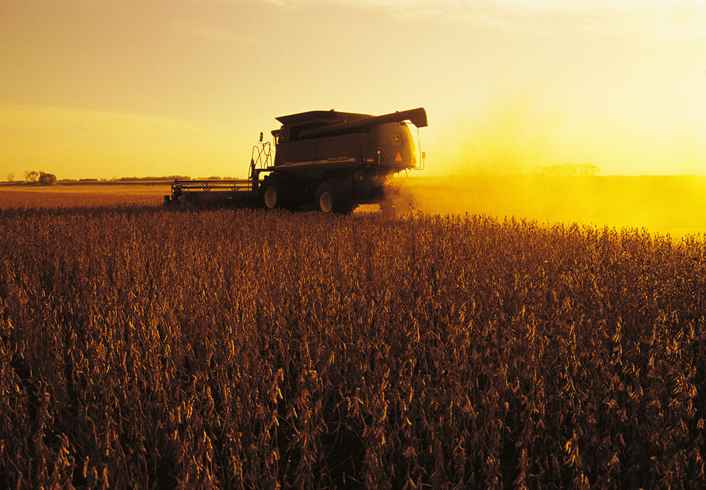 農(nóng)業(yè)調(diào)結(jié)構(gòu)對(duì)準(zhǔn)“三高” 玉米和大豆首當(dāng)其沖