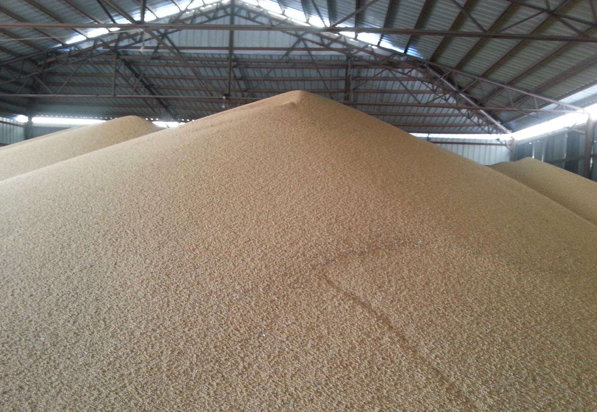 山東：2016年飼料總產2549萬噸，濰坊、臨沂最多飼企