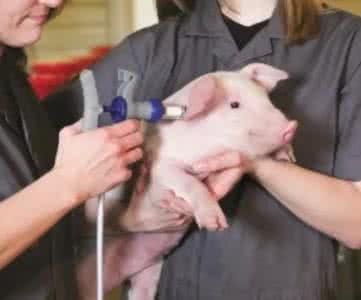 農業部公布動物防疫等補助經費管理辦法