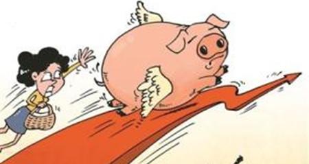 后市還有戲？肥豬能不能壓欄等高價(jià)？