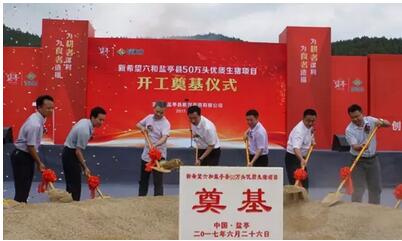 高效 惠民 環?！孪Ｍ望}亭縣50萬頭生豬項目開工奠基