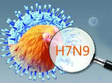 農業部批準廣東先行先試，實施H7N9全面免疫