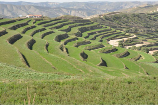 農業大數據強勢植入 奧科美助力“絲路”重鎮定西經濟復蘇