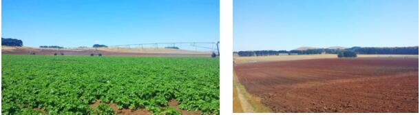 重塑認知，極致服務 探尋“地球村”游學全球農業新視野——走進澳大利亞