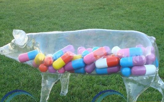 上半年農業部批準的獸藥產品目錄（國產獸藥）