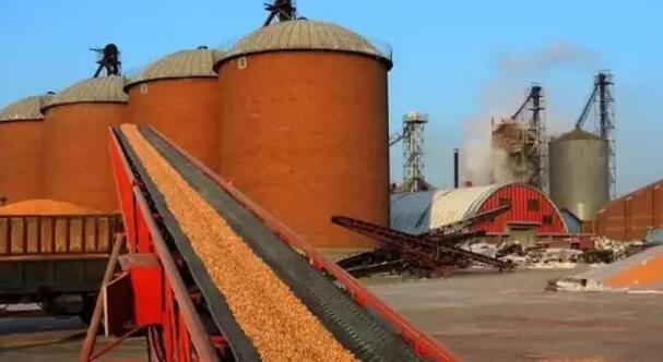 飼料企業(yè)生產(chǎn)許可和質(zhì)量管理規(guī)范中發(fā)現(xiàn)的問(wèn)題和改進(jìn)建議