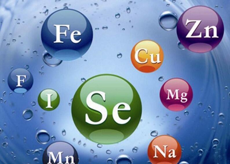 科學(xué)評(píng)估微量元素在飼料中的功與過(guò)
