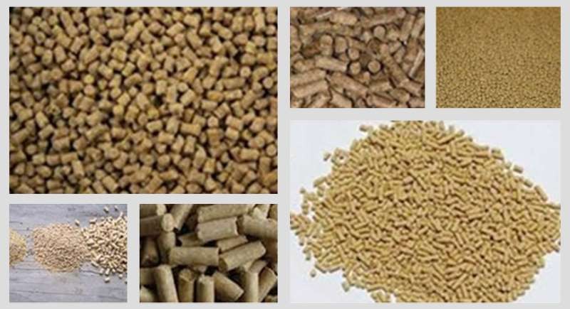 2017中國飼料行業(yè)發(fā)展分析 新希望海大集團通威股份領(lǐng)先