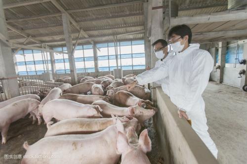 豬場(chǎng)都該做哪些疫苗？