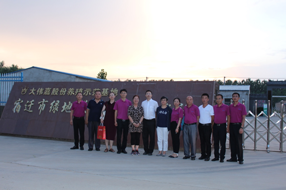 青年雞示范引領(lǐng) 造福中國(guó)蛋雞業(yè) 宮桂芬副秘書(shū)長(zhǎng)一行蒞臨大偉嘉宿遷青年雞示范場(chǎng)參觀指 ...