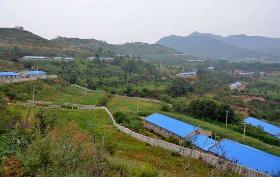 定了！《2019年畜牧獸醫工作要點》