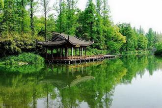 豬口蹄疫臨床及病理圖片