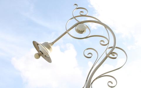 母豬腿病的原因